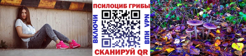 Купить  Сосногорск  Псилоцибиновые грибы ЛСД 